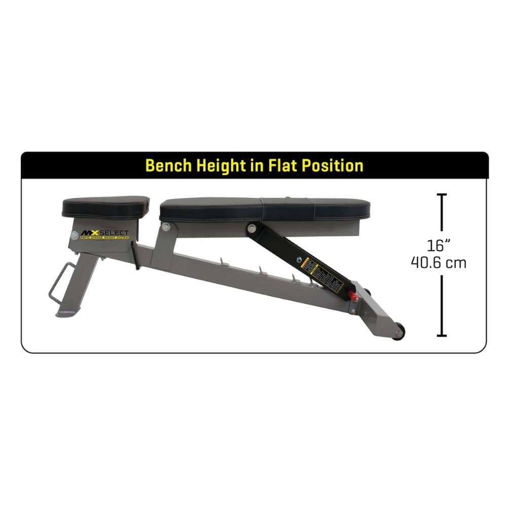 MX Select Adjustable Training Bench